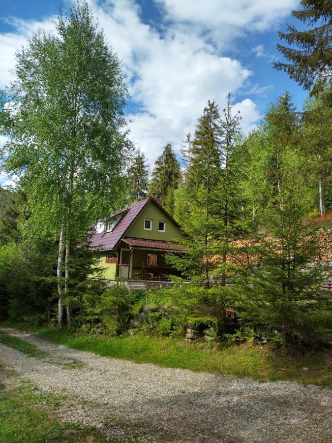 Green House Георгени Экстерьер фото