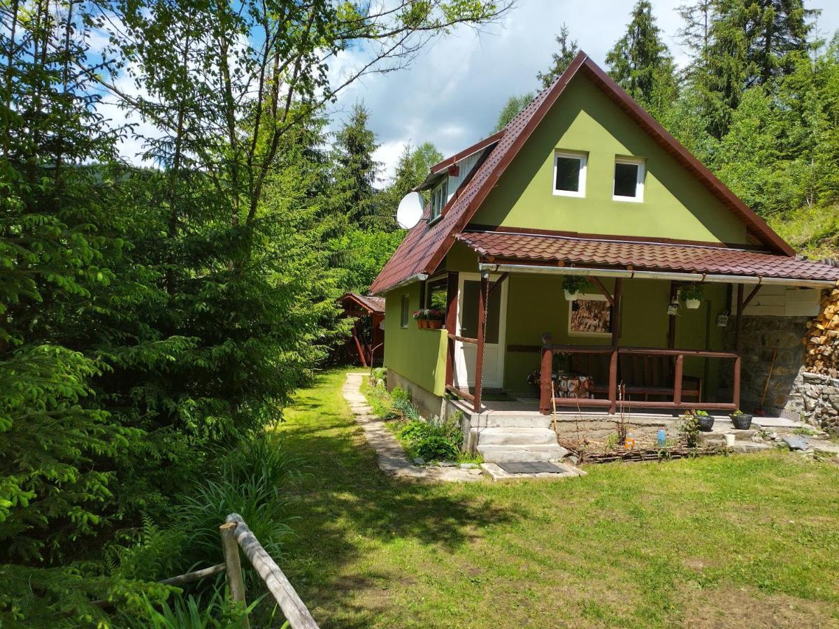 Green House Георгени Экстерьер фото